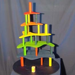 Palazzo Paletti - 
But : Un jeu d'adresse et d'équilibre, où il faut construire un palais le plus haut possible.